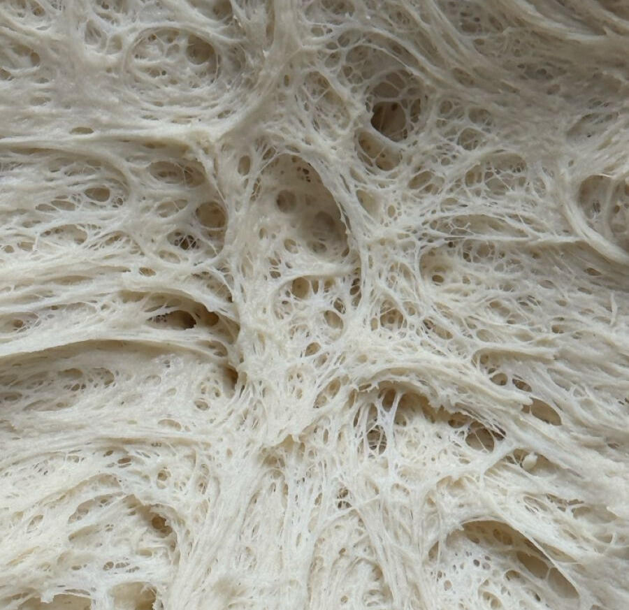 estructura masa pizza napolitana fermentacion 48 horas soccavo masa pizza napolitana alveolos fermentacion natural 48 horas
